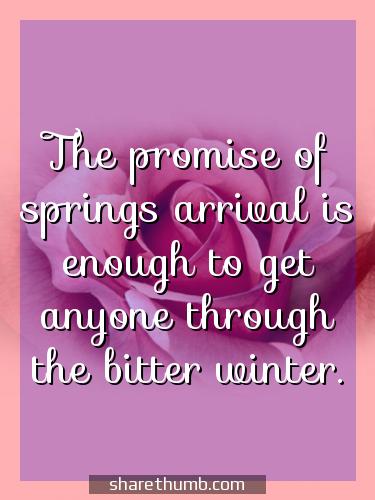 witty spring sayings